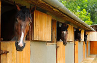 free Gwynfryn stable construction quotes